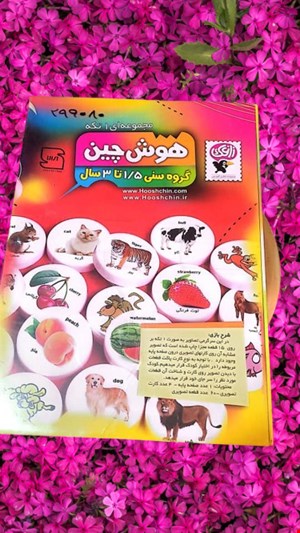 بازی فکری هوش چین